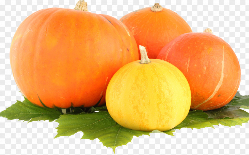 Pumpkin Image Clip Art PNG