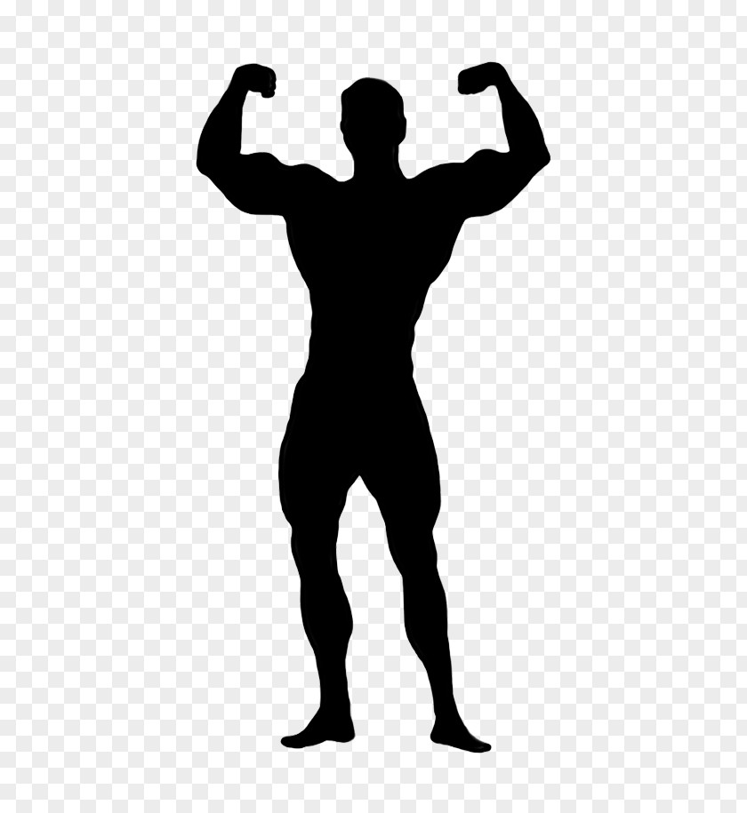 Silhouette Muscle Bodybuilding Standing Clip Art PNG