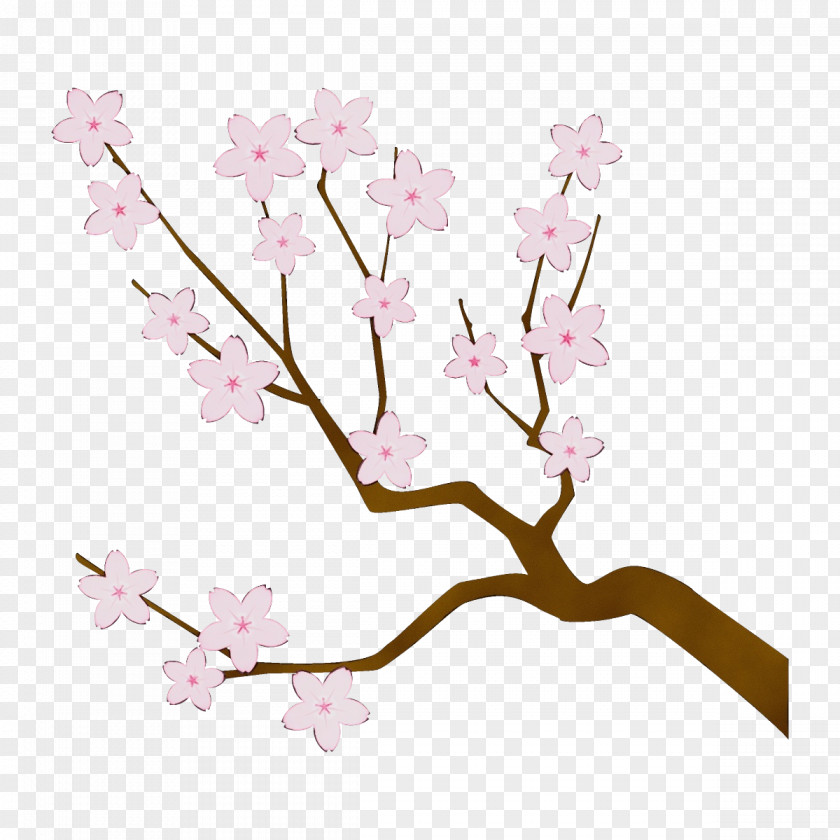 Twig Tree Cherry Blossom PNG