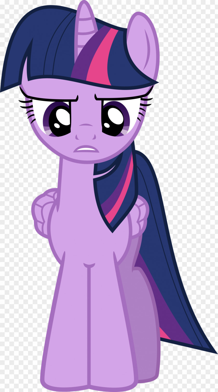Viewing Vector Twilight Sparkle Pinkie Pie Rarity Pony Rainbow Dash PNG