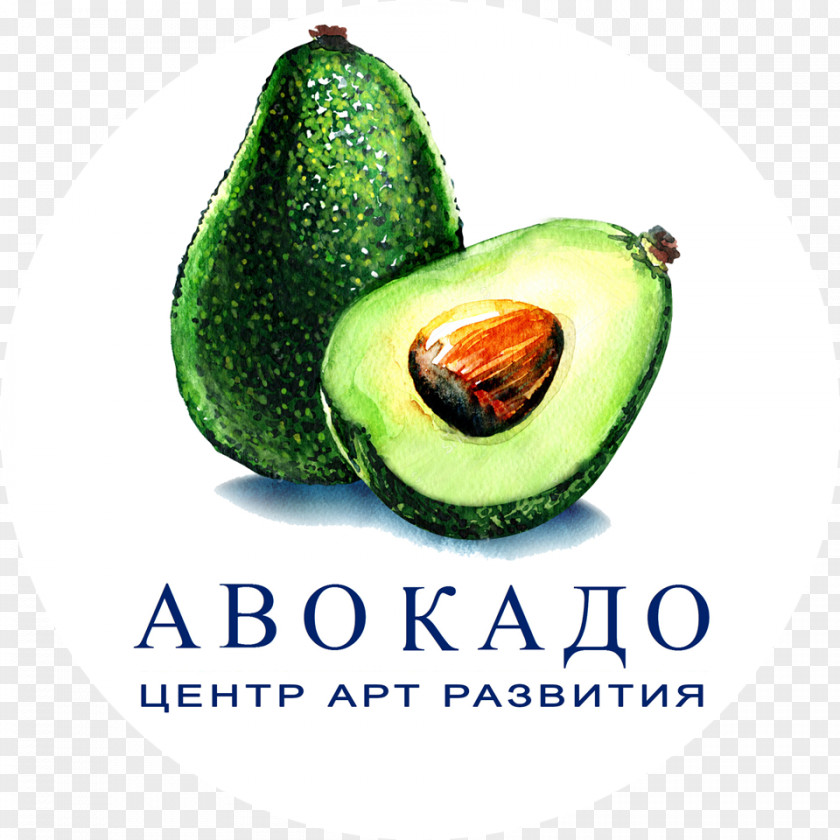 Avocado Watercolor Painting Food Fruit PNG