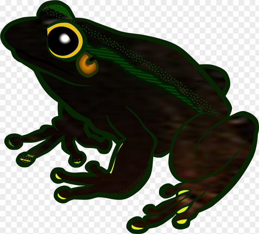 Eleutherodactylus Bufo Pepe The Frog PNG