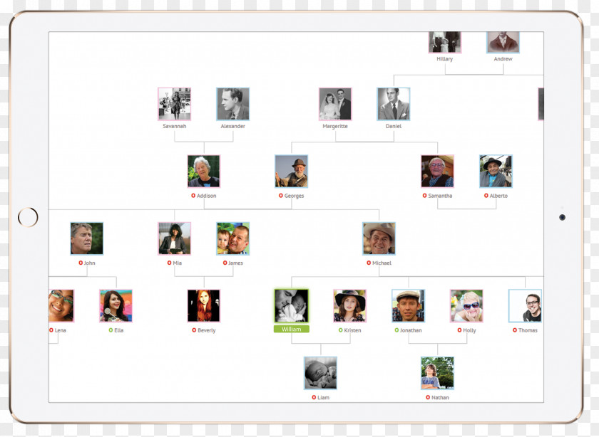 Family Screenshot Tree App Store Trade PNG