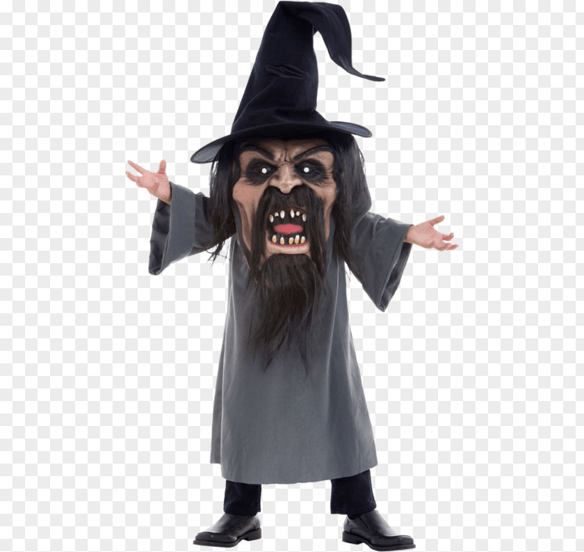 Hat Halloween Costume Mad Hatter Robe PNG