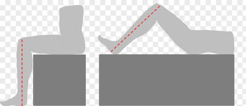 Height Measurement Logo Brand Line PNG