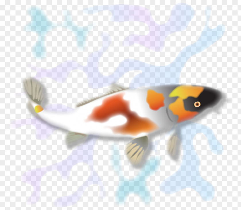 Orange Koi Fauna Marine Biology Fish PNG