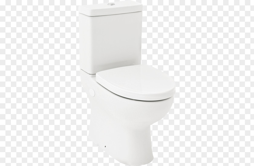 Toilet & Bidet Seats Flush Bideh Plumbing Fixtures Squat PNG