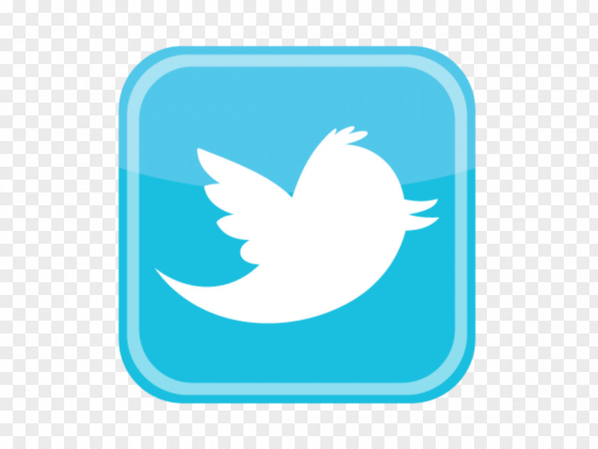 Twitter Wave Installs Logo Graphic Design PNG