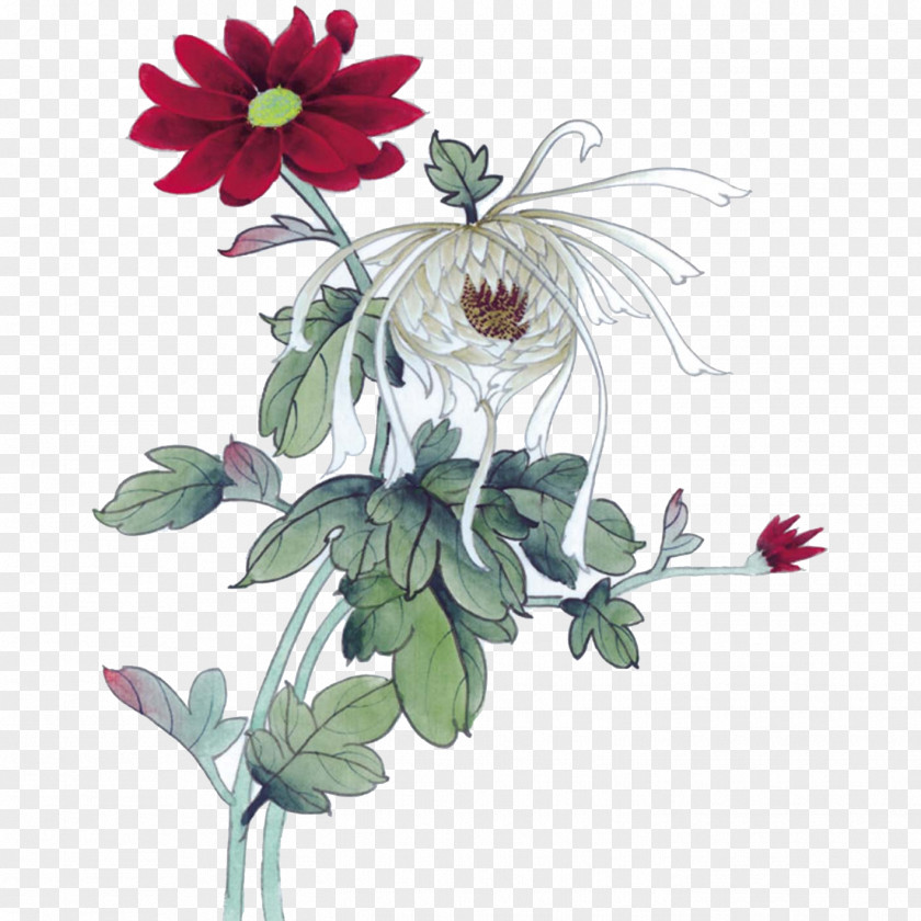 Chrysanthemum Gongbi Ink Wash Painting Chinese U5199u610fu753b PNG