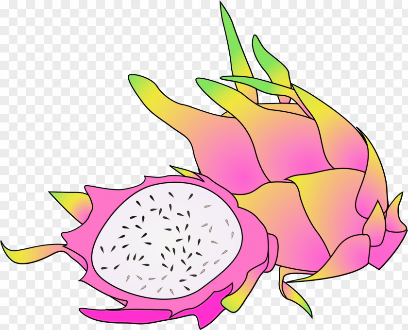 Dragonfruit Plant Food Cartoon PNG