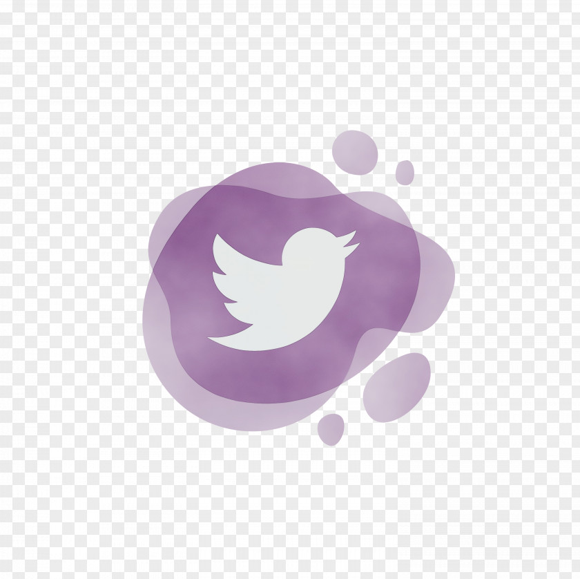 Font Purple Meter Twitter PNG