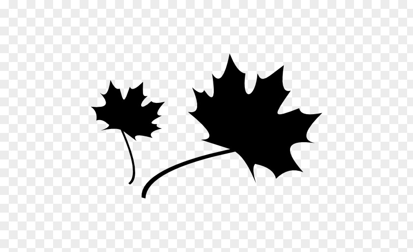 Shaped Leaves Maple Leaf Heart PNG