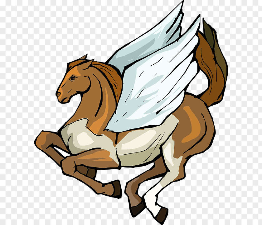 White Pegasus Wings Dream Interpretation Symbol Meaning Pixabay PNG