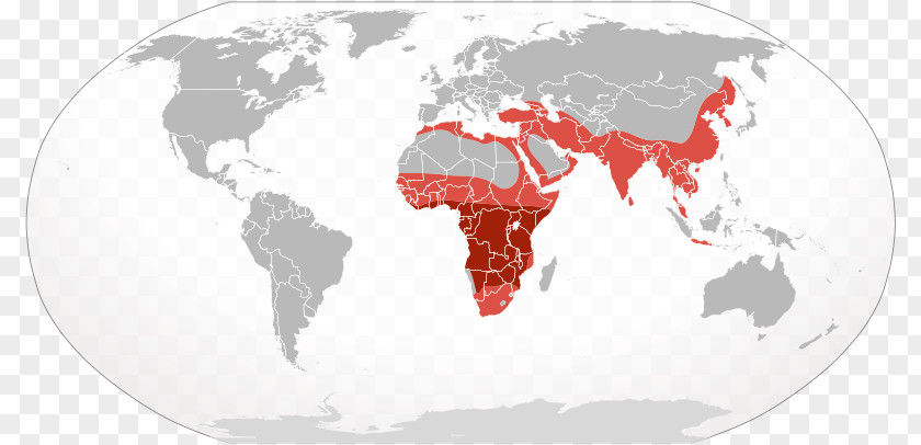 African Leopard World Map Globe Atlas PNG