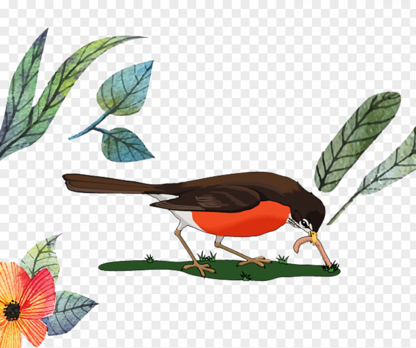 Cartoon Bird Download Illustration PNG
