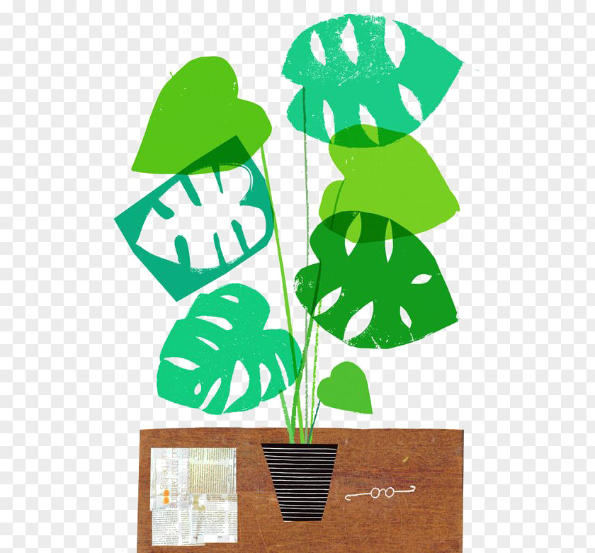 Graffiti Plant Illustrator Art Drawing Illustration PNG