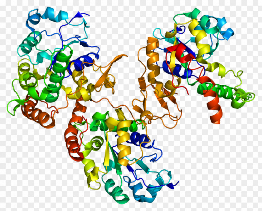 HS3ST1 Heparan Sulfate 2-O-sulfotransferase Enzyme PNG