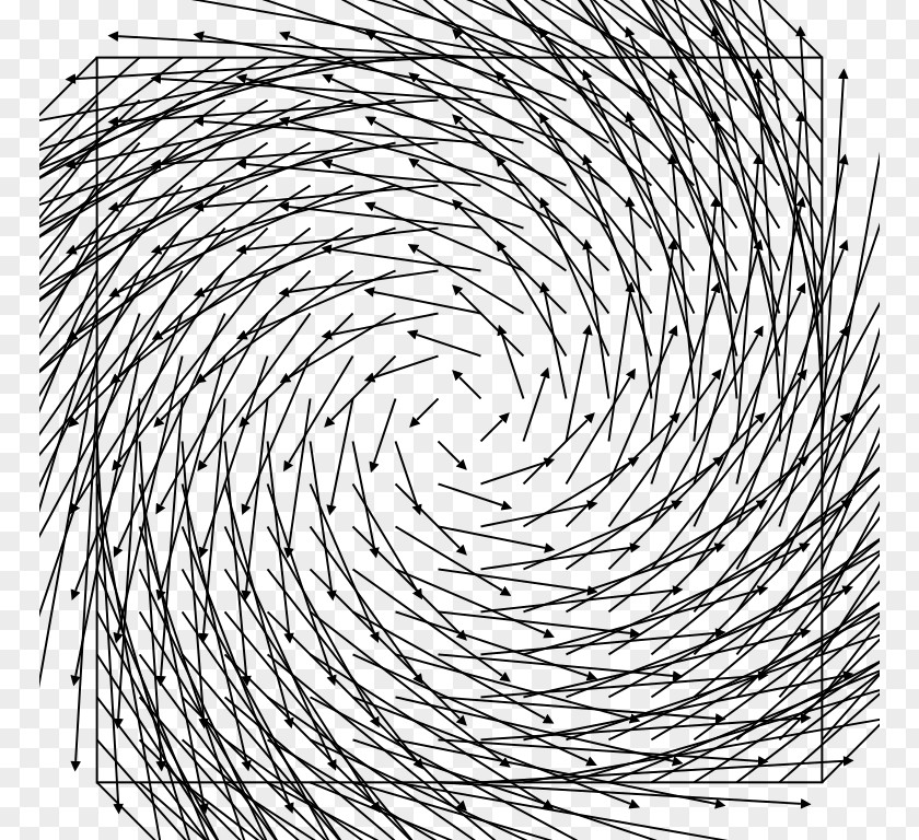 Mathematics Vector Field Scalar Calculus PNG