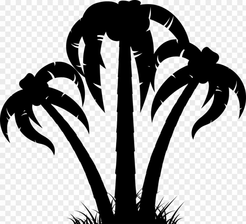 Palm Trees Clip Art Vector Graphics Silhouette PNG