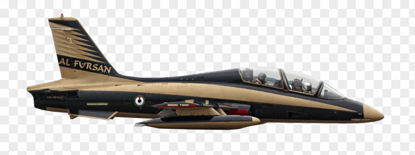 Sky Aircraft ROGERSON AIRCRAFT CORPORATION Airplane Jet Aermacchi MB-339 PNG