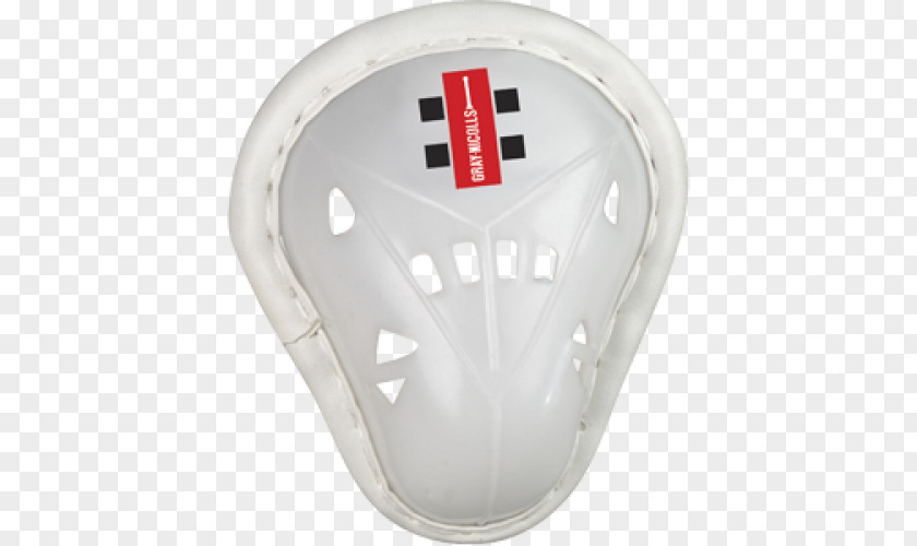 Cricket Clothing And Equipment Batting Gray-Nicolls Pads PNG