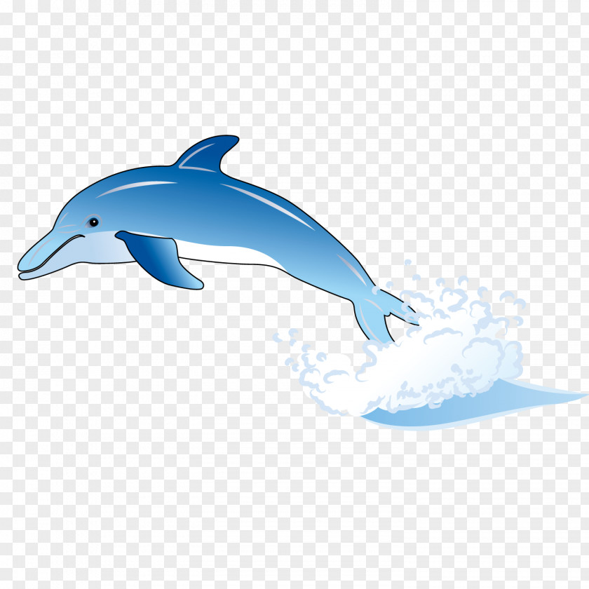 Cute Dolphin Common Bottlenose Tucuxi Wholphin Short-beaked PNG