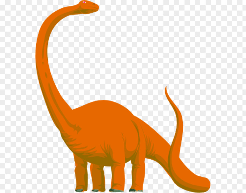 Dinosaur Tail Cliparts Brachiosaurus Triceratops Apatosaurus Clip Art PNG