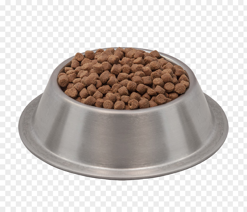 Dog Food Cat Kitten PNG
