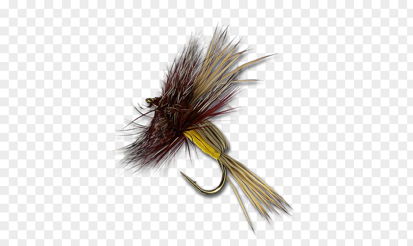 Dry Fly Fishing Artificial Pest PNG