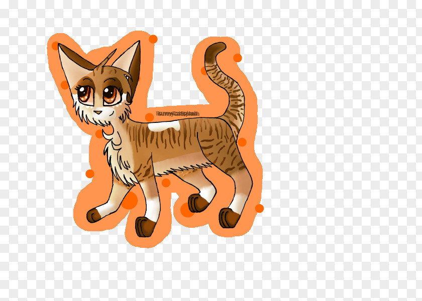 Kitten Whiskers Tabby Cat PNG