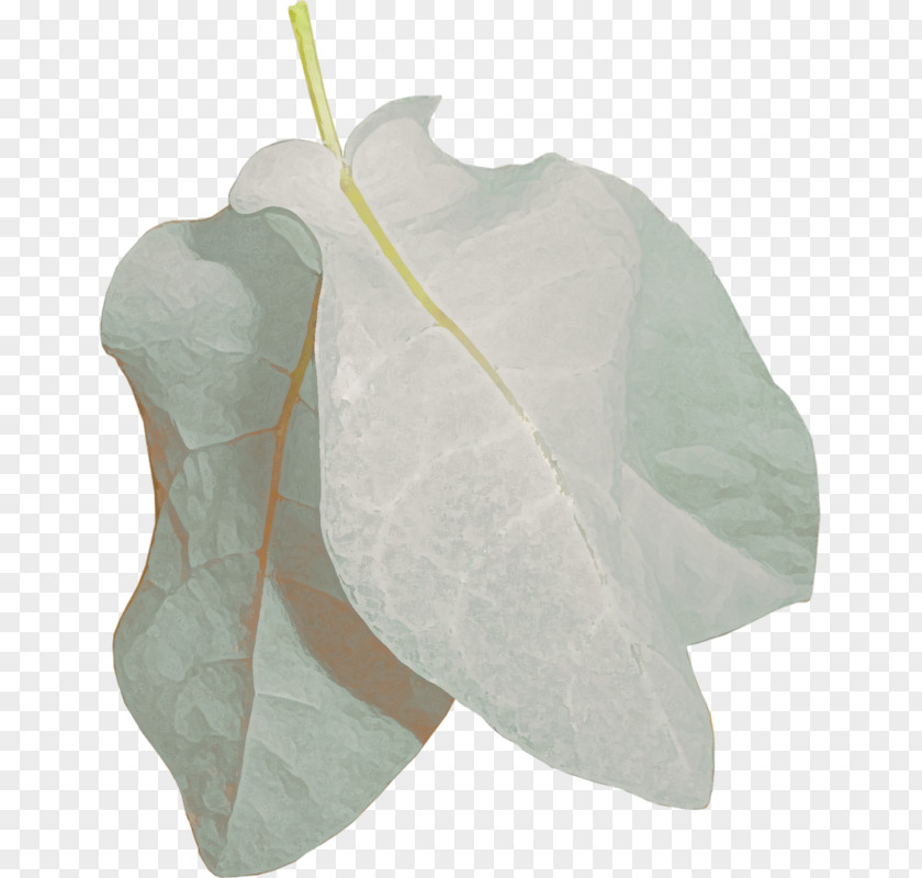 Leaf Clip Art PNG