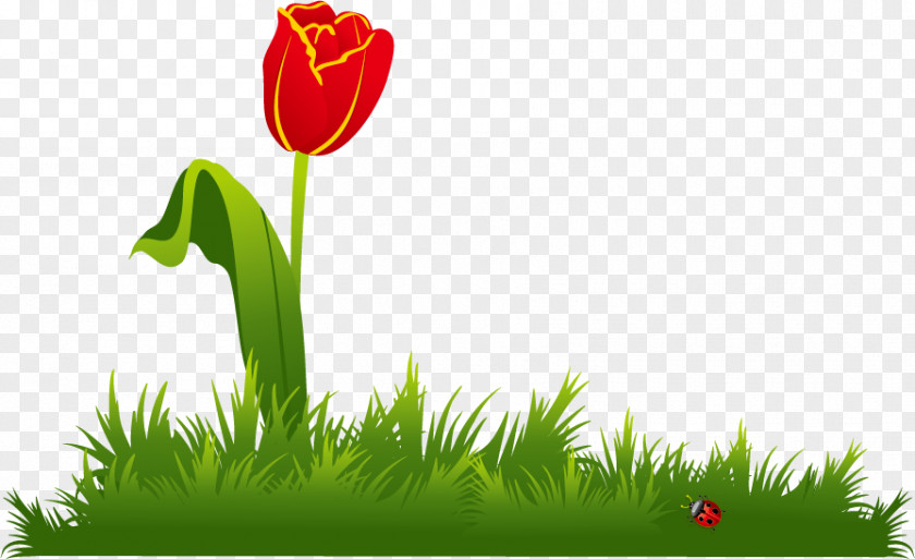 Rose Bud Garden Tool Gardening PNG