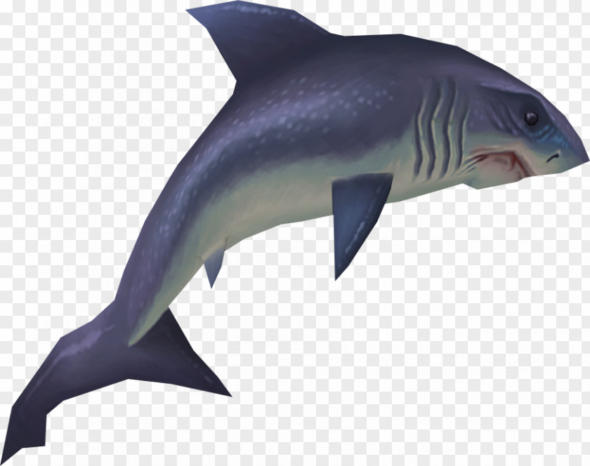 Sharks Hungry Shark Evolution Fish Great White Tiger PNG