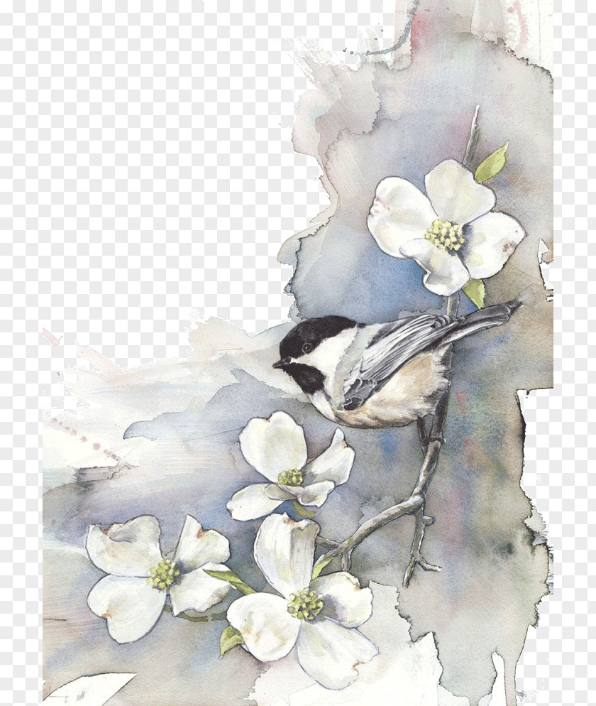 Creative Arts Watercolor Bird Painting Drawing Art PNG