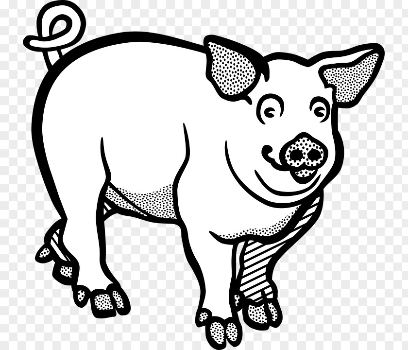 Farm Animal Vector Large White Pig Clip Art Graphics Image PNG