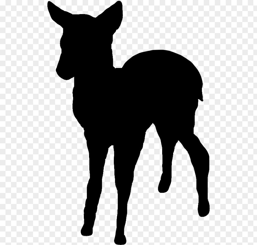 Fawn Boer Goat Decal Sticker Cattle Clip Art PNG