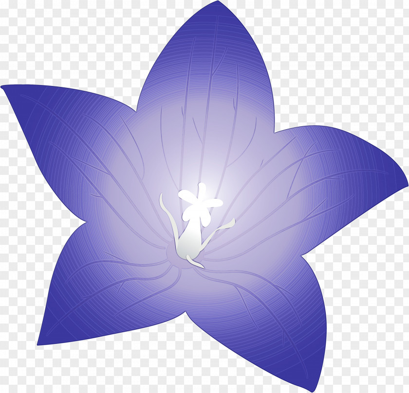 Flower Petal Symmetry Microsoft Azure Computer PNG