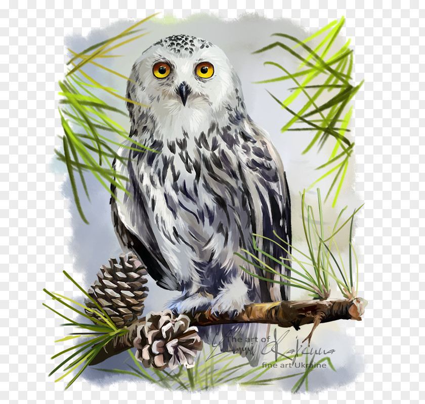 Watercolor Bird Snowy Owl Great Horned Drawing PNG