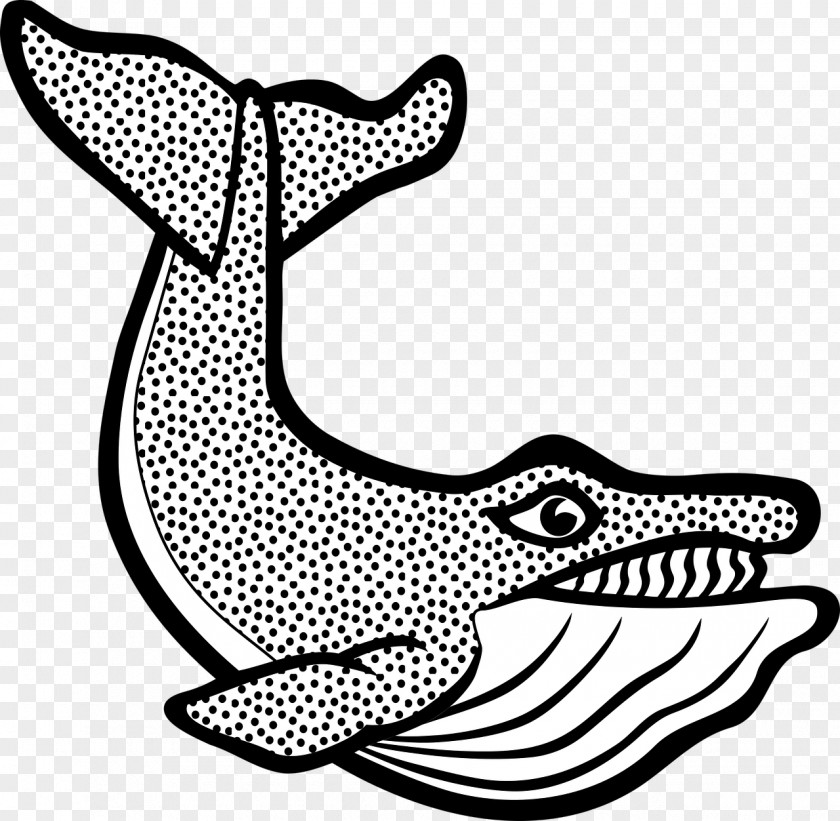 Sea Animals Clip Art Marine Mammal Cetacea Vector Graphics Little Whale PNG