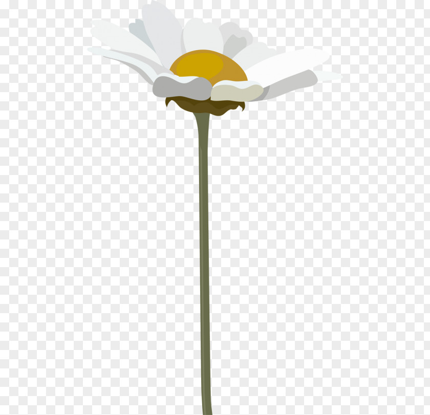 White Advertising Petal PNG