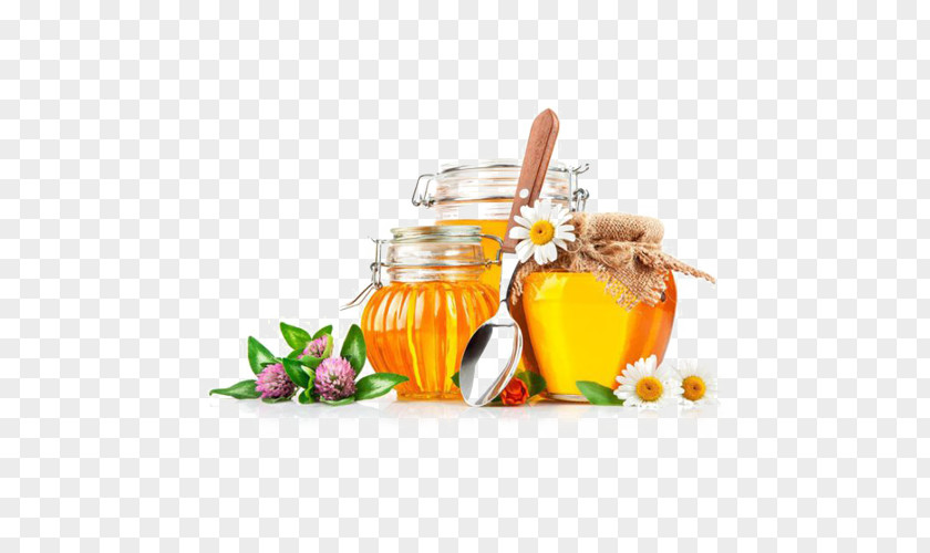 Bee Beekeeping Honey Food PNG