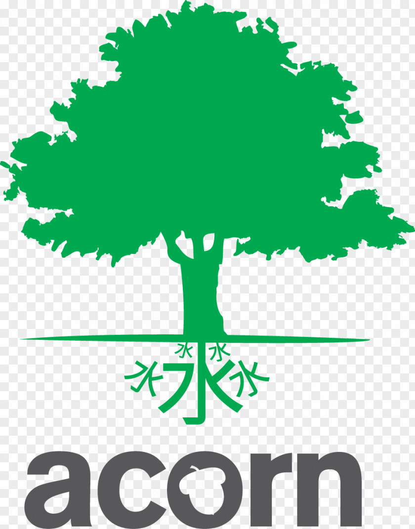 Business Acorn International Network Pte Ltd Organization Limited Company Tree PNG