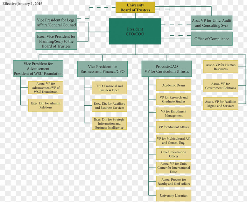 Design Brand Organization Diagram PNG