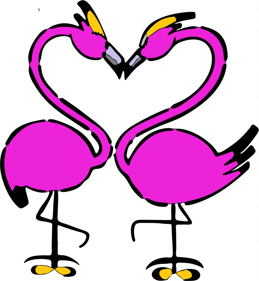 Flamingo Bird Clip Art PNG