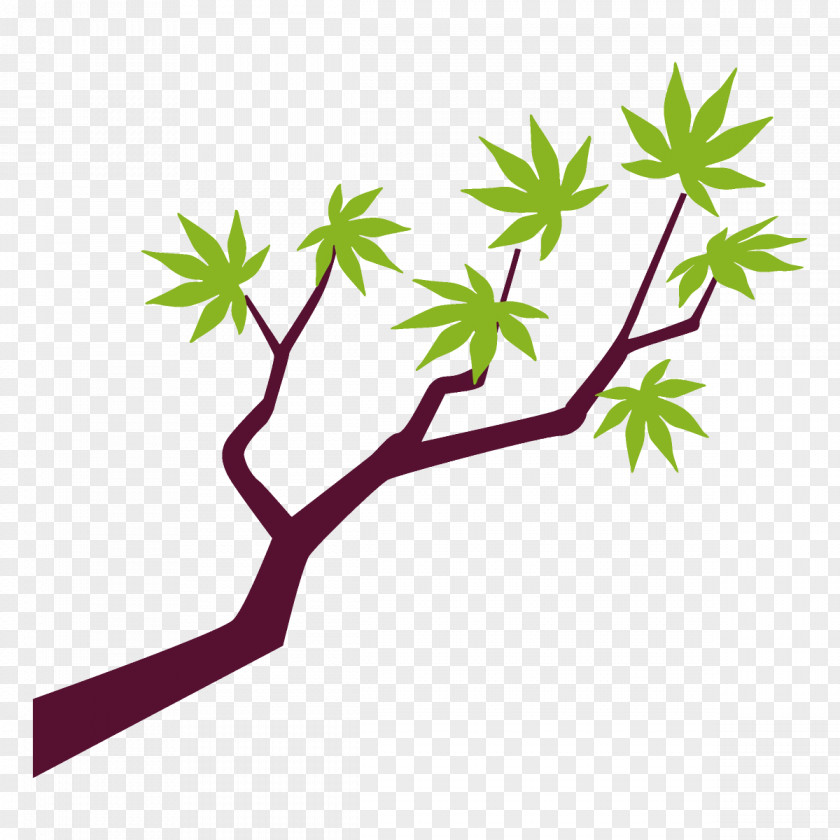 Flower Plant Stem Maple Branch Leaves Tree PNG