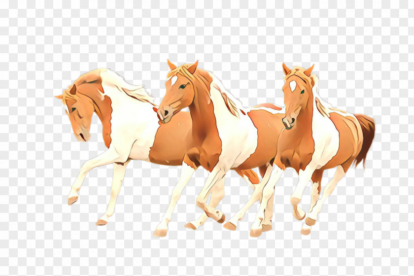 Horse Animal Figure Mane Sorrel Mare PNG