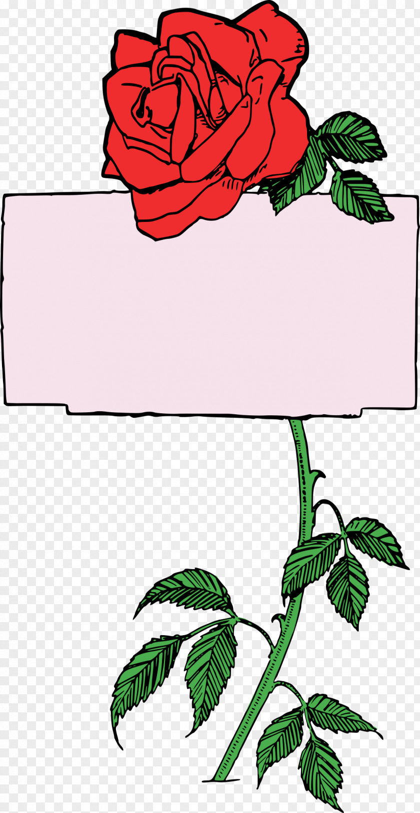 Rose Clip Art Garden Roses Borders And Frames Openclipart Floral Design PNG