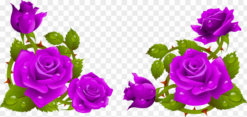 Rose Garden Roses Flower Clip Art PNG