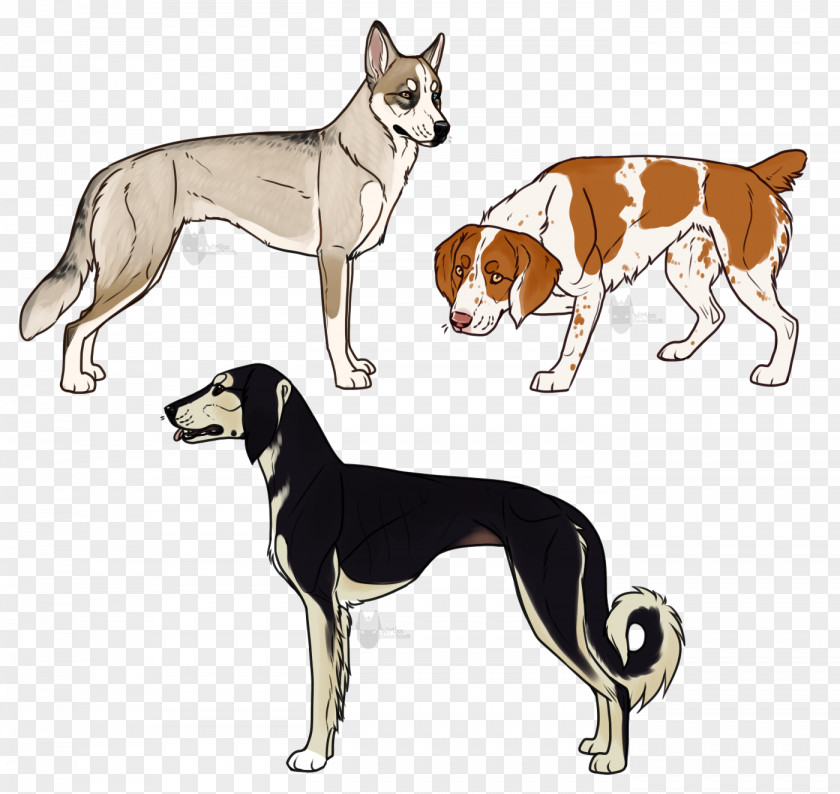 German Shepherd Husky Mix Dog Breed Whippet Sloughi Italian Greyhound Saluki PNG