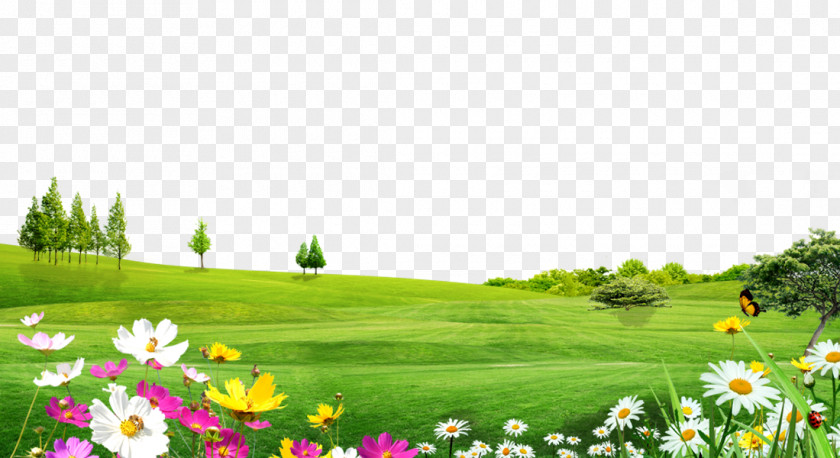 Trees Landscape Material Meadow Flowers PNG